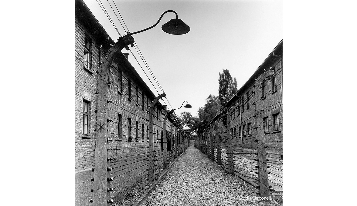 Lidia Carbonell_ Auschwitz2